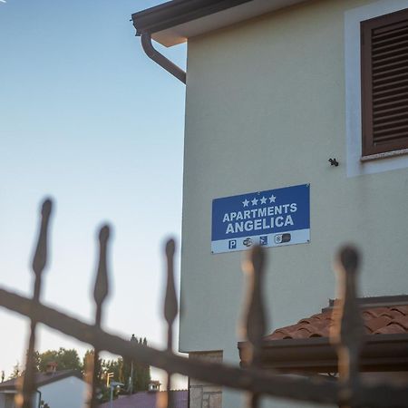 Apartments Angelica 2 Novigrad  ภายนอก รูปภาพ